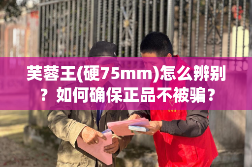 芙蓉王(硬75mm)怎么辨别？如何确保正品不被骗？